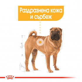 Суха храна за кучета Royal Canin MEDUIM DERMACOMFORT