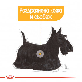 Суха храна за кучета Royal Canin MINI DERMACOMFORT