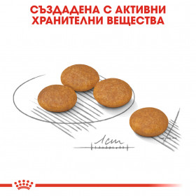 Суха храна за кучета Royal Canin MINI DERMACOMFORT