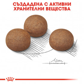 Royal Canin Maxi Digestive Care - Суха храна за кучета от големите породи над 18 месечна възраст