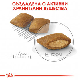 Суха храна за кучета Royal Canin MINI EXIGENT