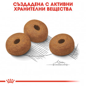 Royal Canin Maxi Light Weight Care - за кучета над 15 месечна възраст с тегло между 26 и 44кг
