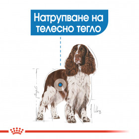 Суха храна за кучета Royal Canin MEDIUM LIGHT WEIGHT CARE
