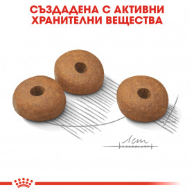 Royal Canin Mini Light Weight Care - Суха храна за кучета над 10 месечна възраст до10кг от малките породи