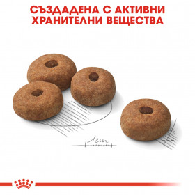 Суха храна за кучета Royal Canin MAXI STERILISED
