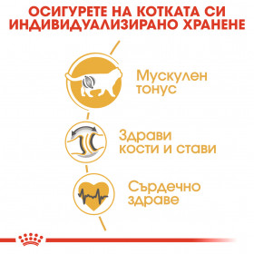 Суха храна за котки Royal Canin BRITISH SHORTHAIR adult