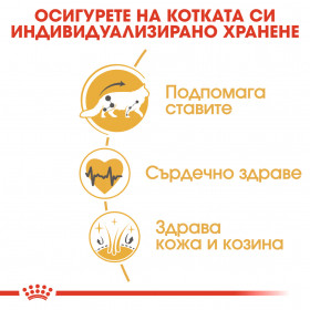 Пауч Royal Canin Maine Coon Pouch - специално създаден за котки, порода мейн куун
