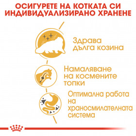 Пауч Royal Canin Persian Adult Wet Food in Loaf - пастетен мус, специално създаден за Персийски котки