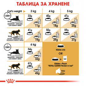 Пауч Royal Canin Persian Adult Wet Food in Loaf - пастетен мус, специално създаден за Персийски котки
