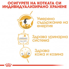 Суха храна за котки Royal Canin BRITISH SHORTHAIR adult