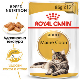 Пауч Royal Canin Maine Coon Pouch - специално създаден за котки, порода мейн куун