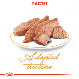 Пауч Royal Canin Persian Adult Wet Food in Loaf - пастетен мус, специално създаден за Персийски котки