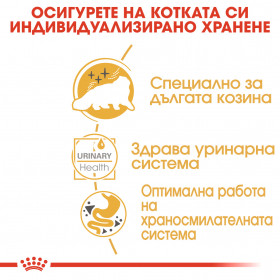 Пауч Royal Canin Persian Adult Wet Food in Loaf - пастетен мус, специално създаден за Персийски котки