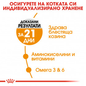 Суха храна за котки Royal Canin HAIR & SKIN