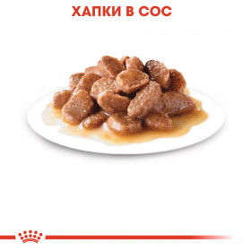 Пауч Royal Canin Light WEIGHT CARE 85 гр. - за котки склонни към напълняване, тънки късчета месо в специален сос грейви