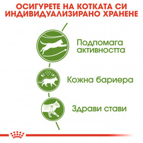 Суха храна за котки Royal Canin OUTDOOR 