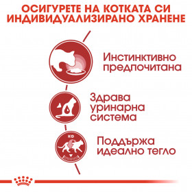 Пауч Royal Canin INSTINCTIVE IN GRAVY 85 гр. Здравословна храна за котки от 1 до 7 години, късчета месо в сос грейви