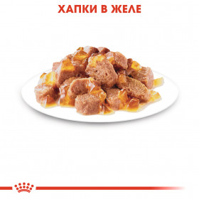 Пауч Royal Canin Instinctive in Jelly 85 гр. - пълноценна храна за котки над 1 година, сочни късчета месо в апетитно желе