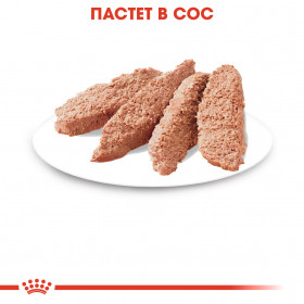 Пауч Royal Canin Instictive In Loaf 85 гр. - здравословна храна за котки, пастет със специален сос
