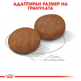 Royal Canin Medium Adult 7+ - Суха храна за кучета от средните породи (11 до 25 кг) в напреднала възраст над 7 години