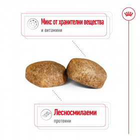 Суха Храна за кучета Royal Canin GIANT ADULT