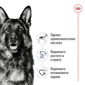 Суха храна за кучета Royal Canin MAXI ADULT 