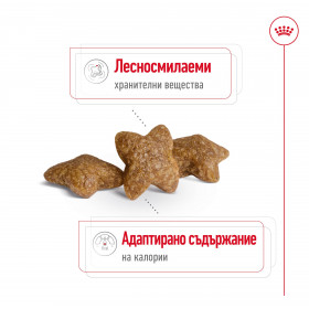 Суха храна за кучета Royal Canin MINI ADULT