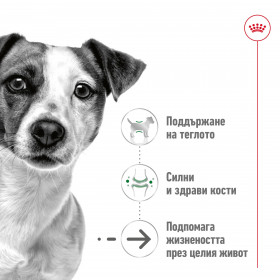 Royal Canin Mini Ageing +12 - суха храна за кучета от дребни породи над 12 г./1,5 кг.