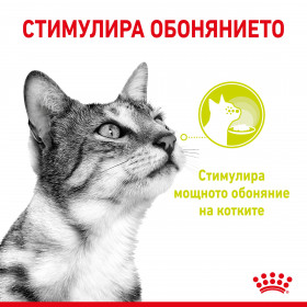 Royal Canin Sensory Smell in Gravy - пълноценна мокра храна със сос в пауч за котки в зряла възраст