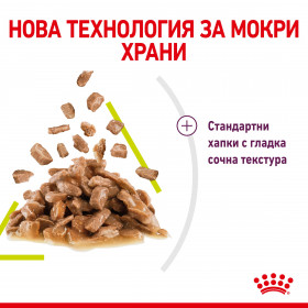 Royal Canin Sensory Smell in Gravy - пълноценна мокра храна със сос в пауч за котки в зряла възраст
