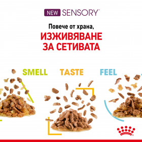 Royal Canin Sensory Taste in Jelly - пълноценна мокра храна хапки в желе в пауч за котки в зряла възраст