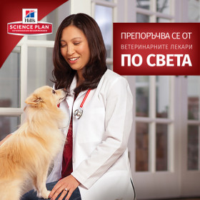 Hill’s Science Plan Adult Performance с пилешко – Пълноценна суха храна за кучета с повишени енергийни нужди на възраст над 1 година 