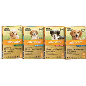 Bayer Advocate dog - за кучета от 10 до 25 кг - комбиниран препарат срещу вътрешни и външни паразити 