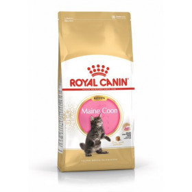 Royal Canin Maine Coon Kitten - Пълноценна и балансирана храна за подрастващи котенца порода Maine Coon