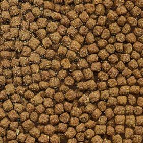 Пълноценна, гранулирана храна за Цихлиди Flamingo Cichlid Granulated food