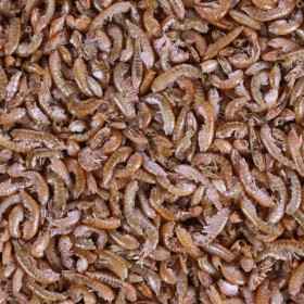 Пълноценна, 100% натурална храна за костенурки Flamingo GAMMARUS NATURAL FOOD със сушени скариди и ракообразни 250 мл.