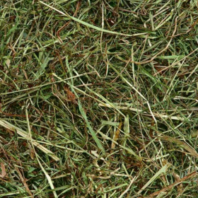 Планинско сено за зайци Flamingo Mountain hay Mint с мента