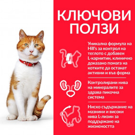 Суха храна за кастрирани котки над 1 година - Hill's Science Plan Sterilised Cat Young Adult със сьомга