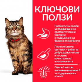  Суха храна за  котки с чувствителен стомах и кожа - Hill's Science Plan Sensitive Stomach & Skin Adult с пилешко  опаковка 7 кг + подарък  двулицева чанта