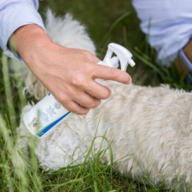 Противопаразитен спрей Trixie Flea and tick spray за кучета