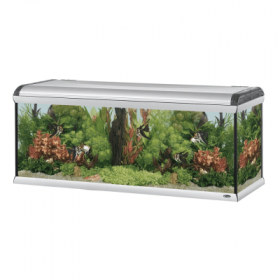 Аквариум STAR 160 FRESH WATER  162х62х67,5см.