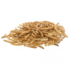 Лакомство за малки животни Trixie Mealworms dried  Брашнени червеи, допълваща храна подходяща и за таралежи