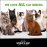 Kотешка тоалетна WOLRD'S BEST CAT LITTER MULTIPLE CAT 12,7кг. - най-добрата котешка тоалетна на света