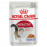 Пауч Royal Canin Instinctive in Jelly 85 гр. - пълноценна храна за котки над 1 година, сочни късчета месо в апетитно желе