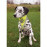 Кучешки светлоотразителен нашийник Trixie Bandana Reflex тип бандана