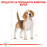 Royal Canin BREED BEAGLE ADULT 3кг.