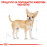 Суха храна за кучета Royal Canin CHIHUAHUA ADULT