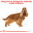 Суха храна за кучета  Royal Canin COCKER ADULT