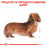 Суха храна за кучета Royal Canin DACHSHUND ADULT