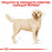 Суха храна за кучета  Royal Canin LABRADOR RETRIEVER ADULT 